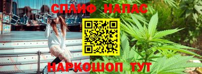 сатива Апшеронск