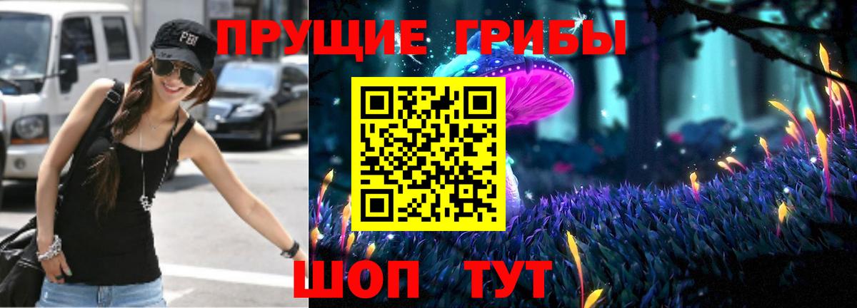 Галлюциногенные грибы Psilocybe Архангельск